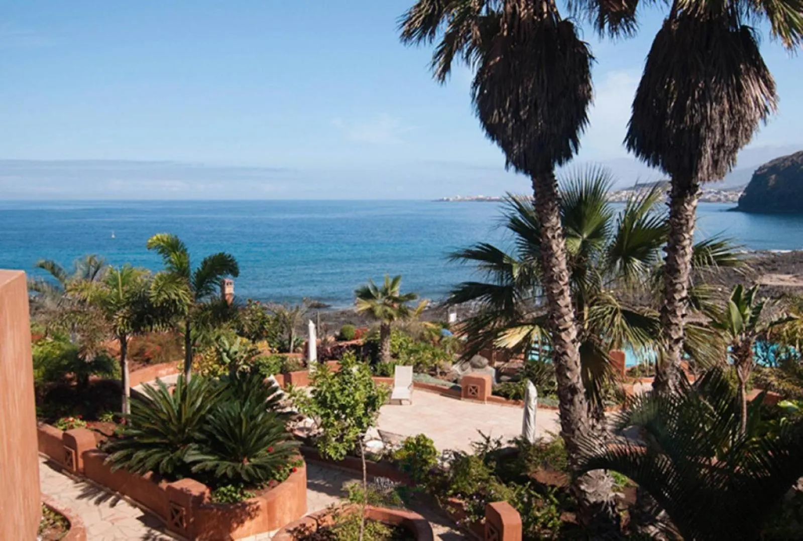 My Piece Of Paradise Palm-mar